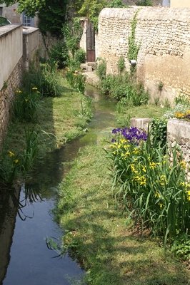 PICT0159 2