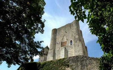 donjon-vue-montante-BIS