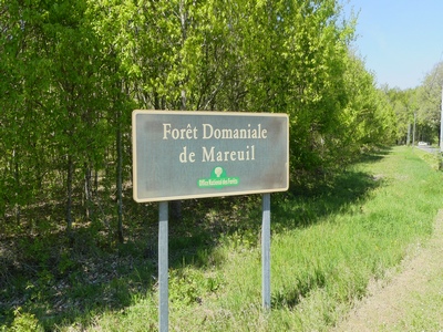 P1000267