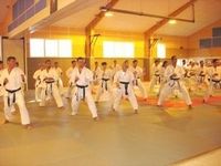 karatebis